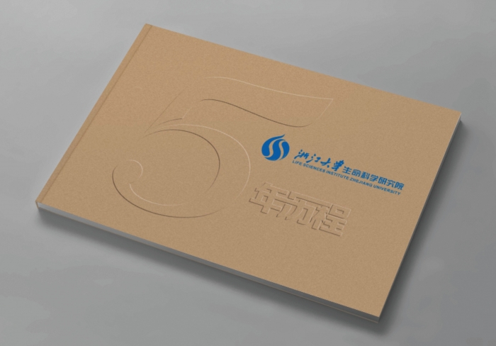 網絡大眾化在企業宣傳中的應用 網絡大眾化在企業宣傳中的應用